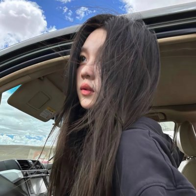 小小的叛国者