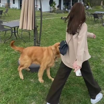 侦探语录